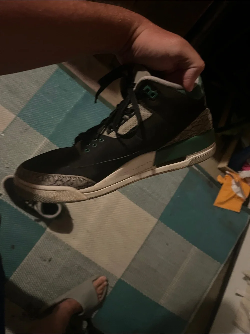 Authentic Air Jordan 3 Pine Greens